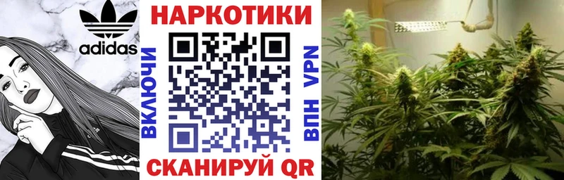 Alpha PVP Выборг