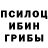 Галлюциногенные грибы мицелий A Sar