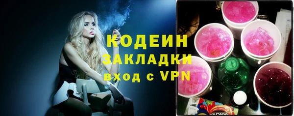 шишки Осинники