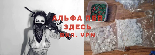 шишки Осинники