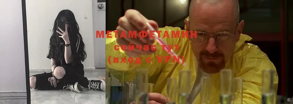шишки Осинники
