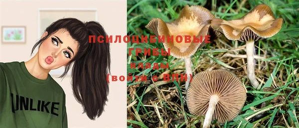 крисы Остров