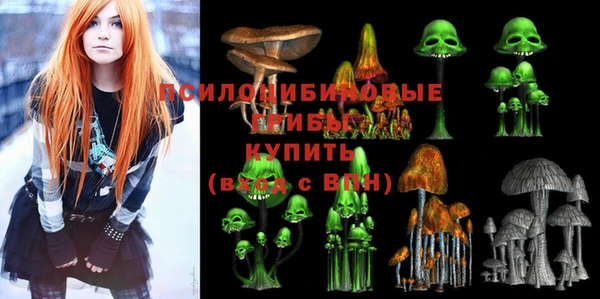 прущие крисы Осташков
