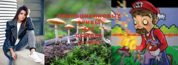 прущие крисы Осташков