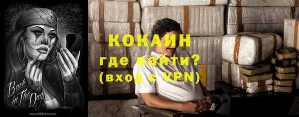 шишки Осинники