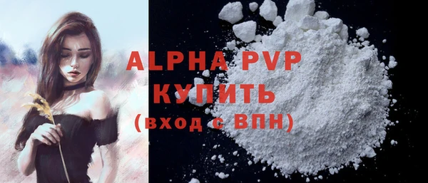 СК Ивангород