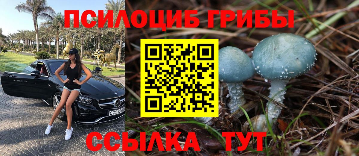 Псилоцибиновые грибы MAGIC MUSHROOMS Выборг