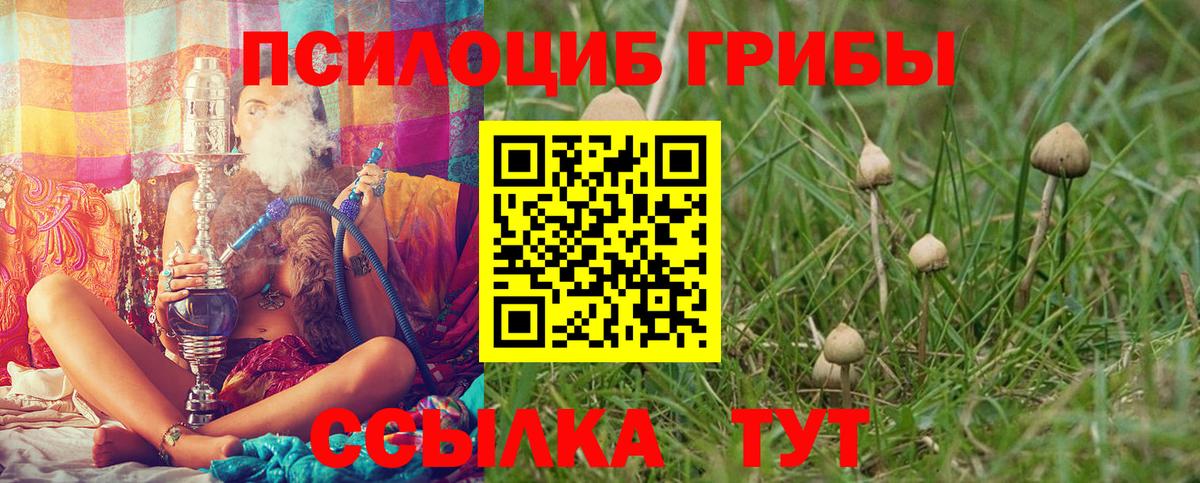 Выборг  Канабис  ГАШИШ  Героин  МЕФ кристаллы  ГАШ 