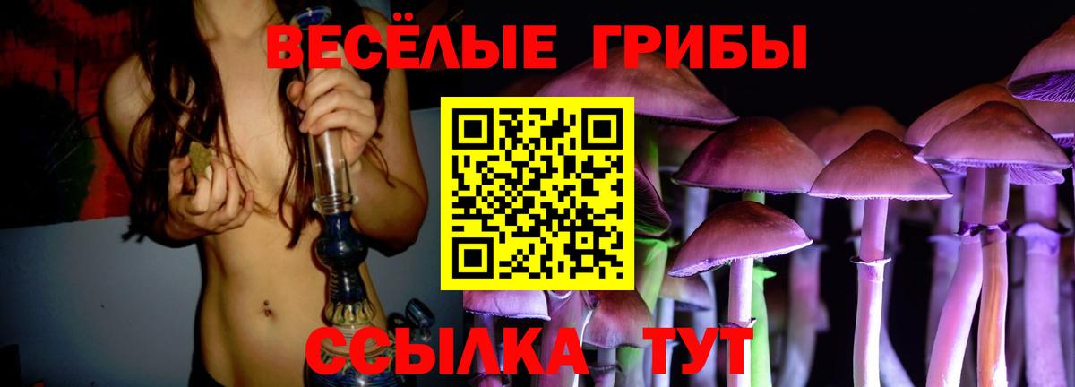 Псилоцибиновые грибы мицелий  Псилоцибиновые грибы мицелий  Выборг  Вход с VPN 