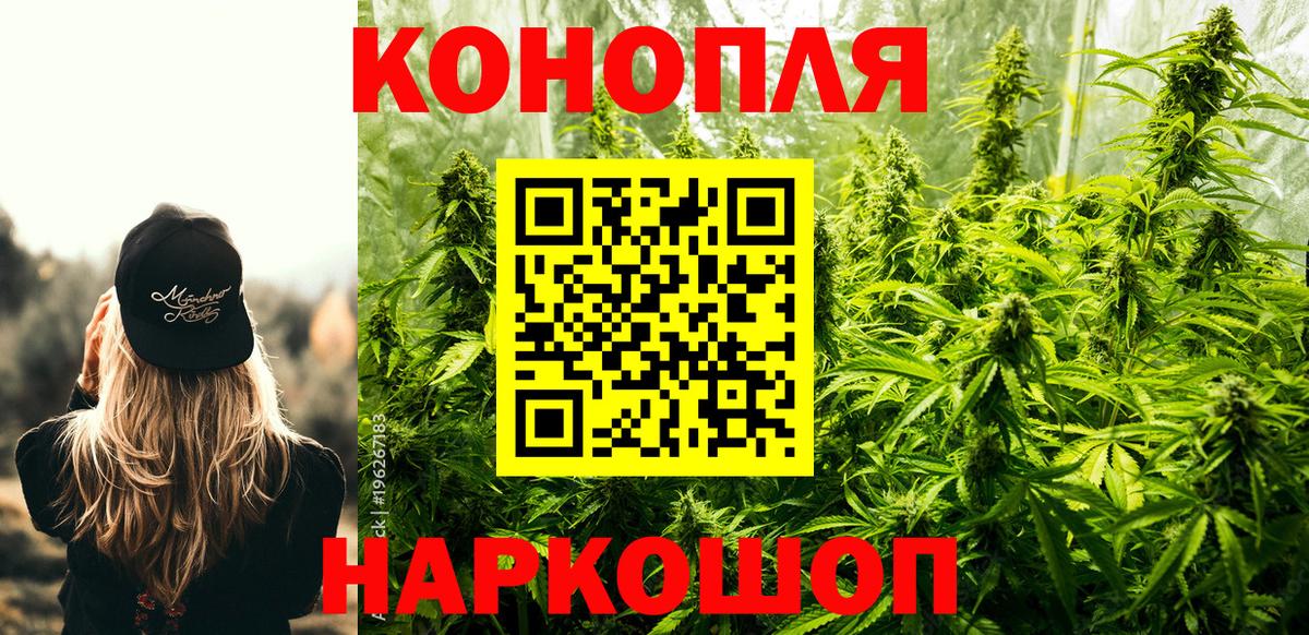Канабис план  Выборг  Бошки марихуана VHQ  Марихуана LSD WEED 